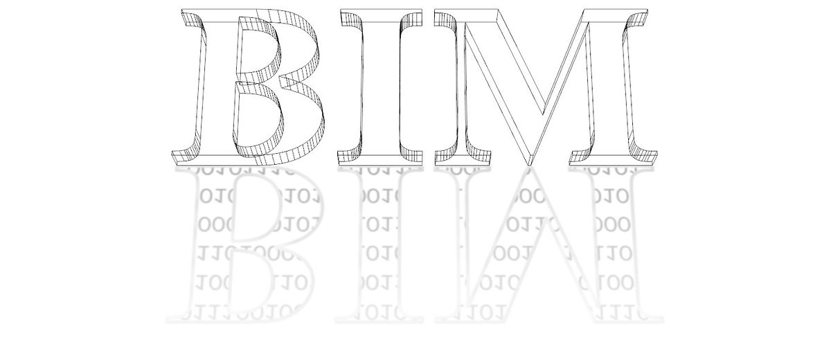 BIM