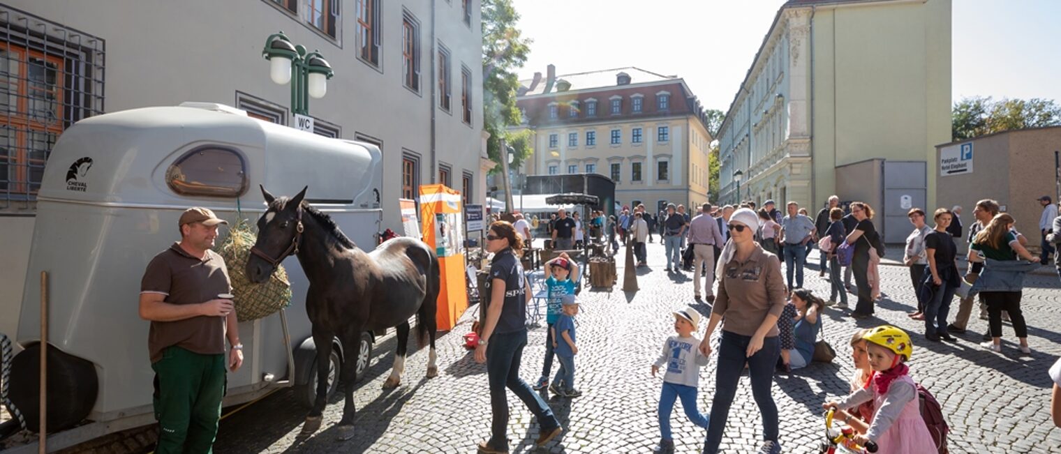 Impressionen vom Tag des Handwerks am 21. September 2019 in Weimar