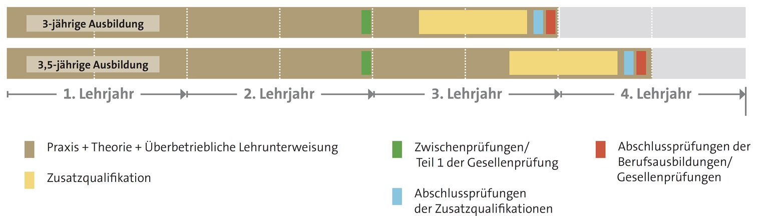 berufsausbildung40grafik